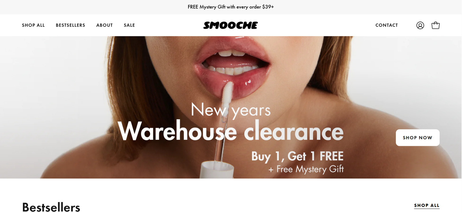 Smooche Website
